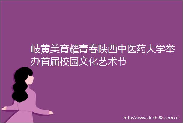 岐黄美育耀青春陕西中医药大学举办首届校园文化艺术节