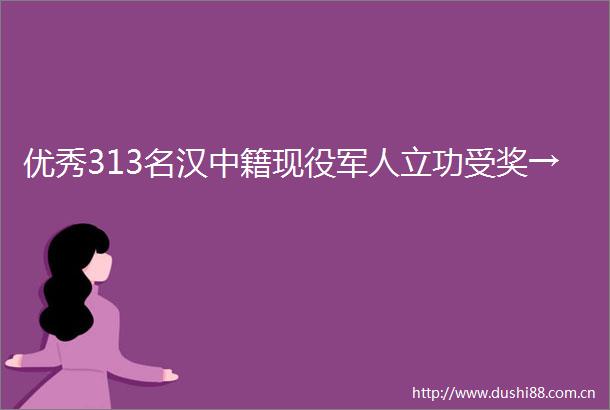 优秀313名汉中籍现役军人立功受奖→