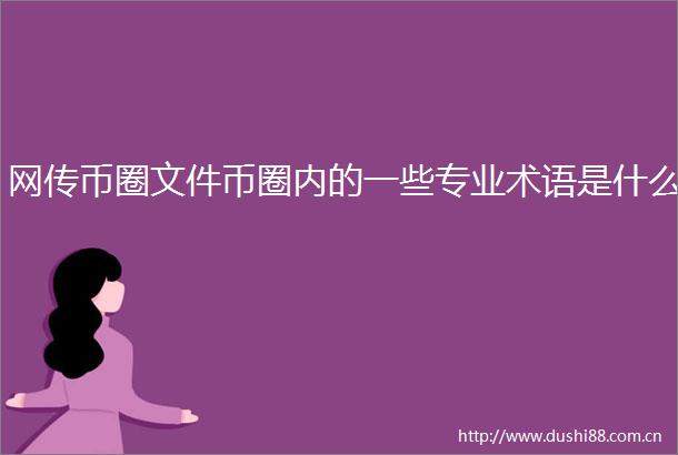 网传币圈文件币圈内的一些专业术语是什么