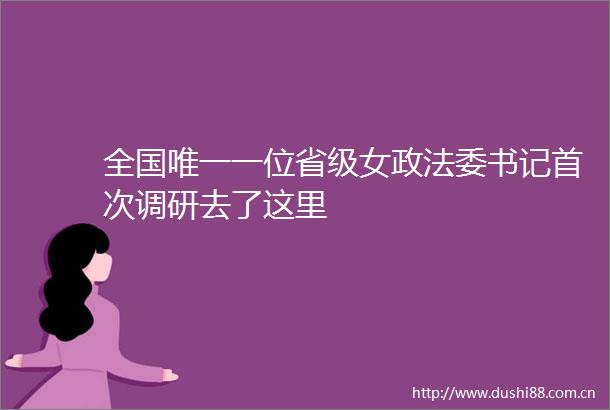 全国唯一一位省级女政法委书记首次调研去了这里
