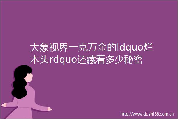 大象视界一克万金的ldquo烂木头rdquo还藏着多少秘密