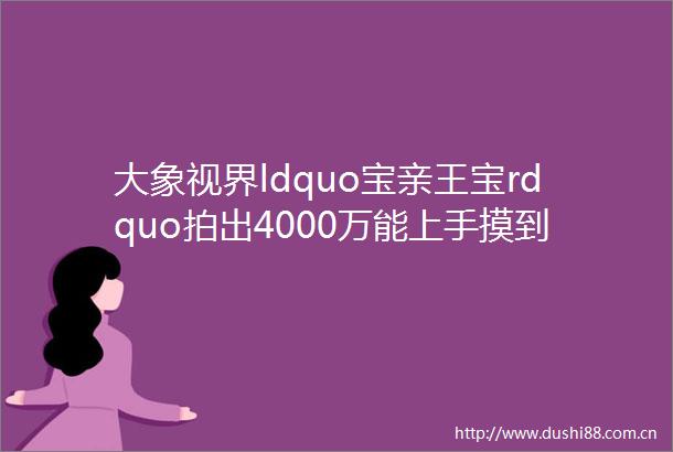 大象视界ldquo宝亲王宝rdquo拍出4000万能上手摸到就是福的老田黄