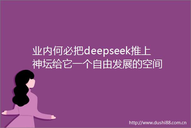 业内何必把deepseek推上神坛给它一个自由发展的空间