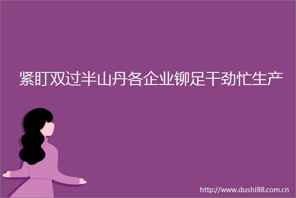 紧盯双过半山丹各企业铆足干劲忙生产