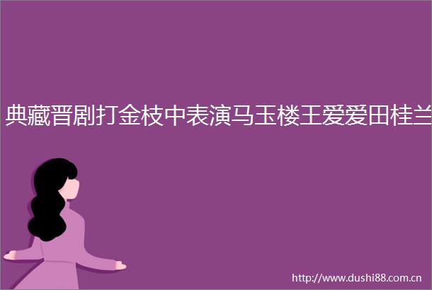 典藏晋剧打金枝中表演马玉楼王爱爱田桂兰