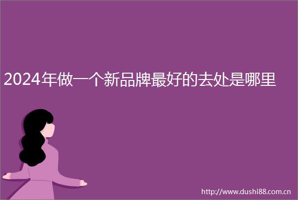 2024年做一个新品牌最好的去处是哪里