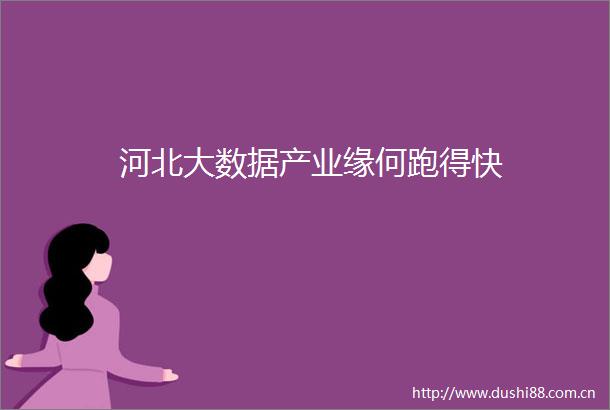 河北大数据产业缘何跑得快