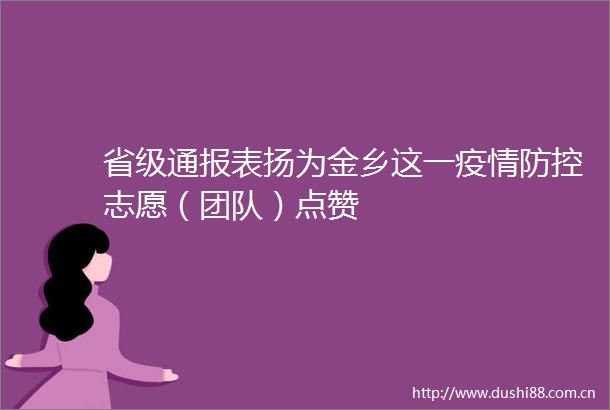 省级通报表扬为金乡这一疫情防控志愿（团队）点赞