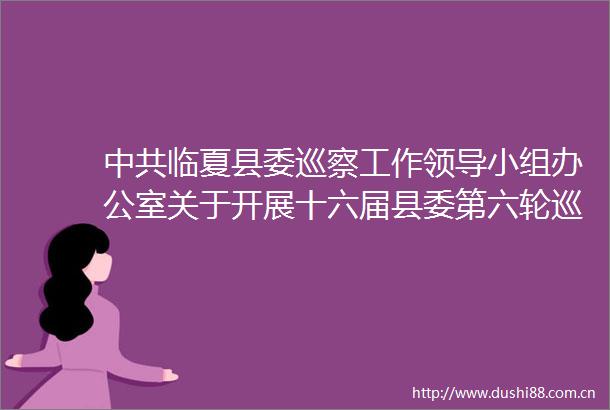 临夏县委巡察工作小组办公室关于开展十六届县委第六轮巡察工作的公告