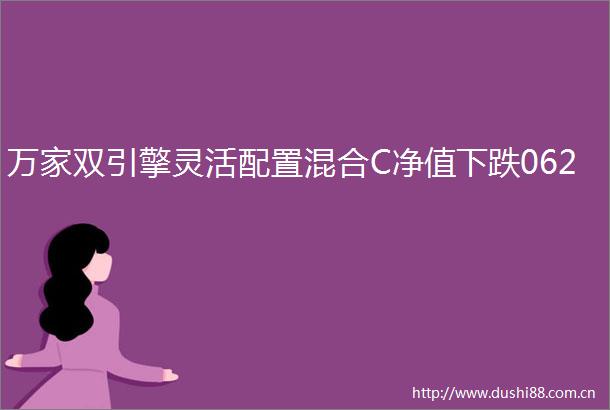 万家双引擎灵活配置混合C净值下跌062