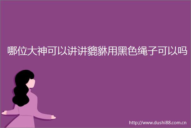 哪位大神可以讲讲貔貅用黑色绳子可以吗