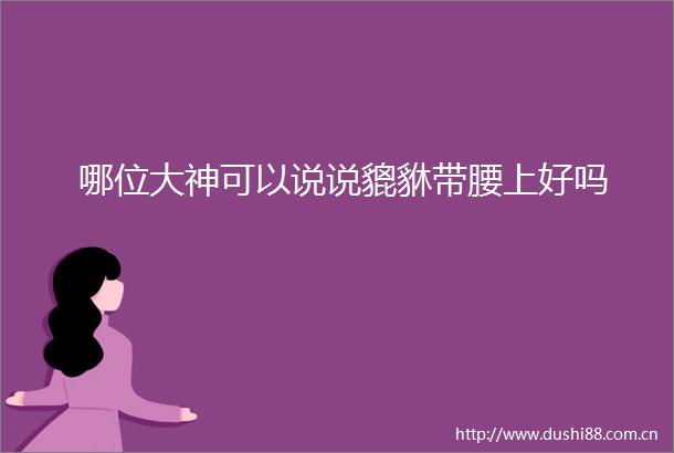 哪位大神可以说说貔貅带腰上好吗