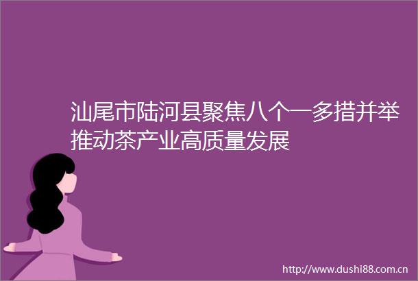 汕尾市陆河县聚焦八个一多措并举推动茶产业高质量发展