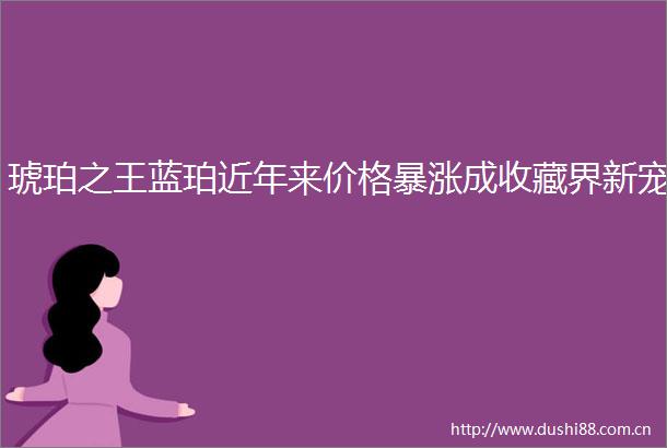 琥珀之王蓝珀近年来价格暴涨成收藏界新宠