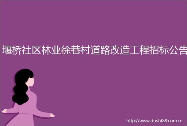 堰桥社区林业徐巷村道路改造工程招标公告