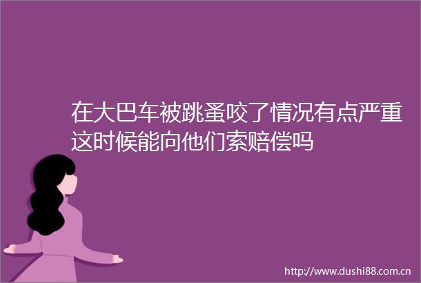 在大巴车被跳蚤咬了情况有点严重这时候能向他们索赔偿吗