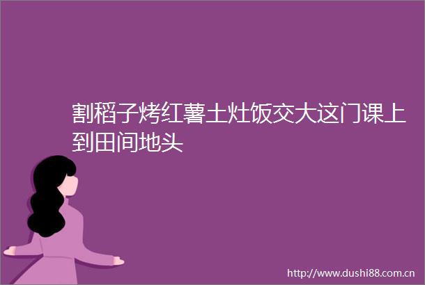 割稻子烤红薯土灶饭交大这门课上到田间地头