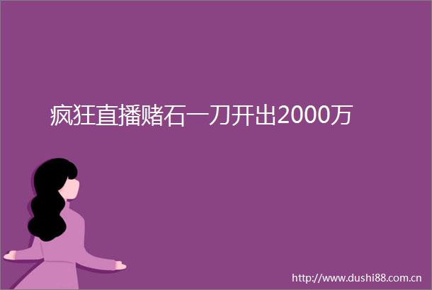 疯狂直播赌石一刀开出2000万