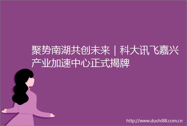 聚势南湖共创未来｜科大讯飞嘉兴产业加速中心正式揭牌