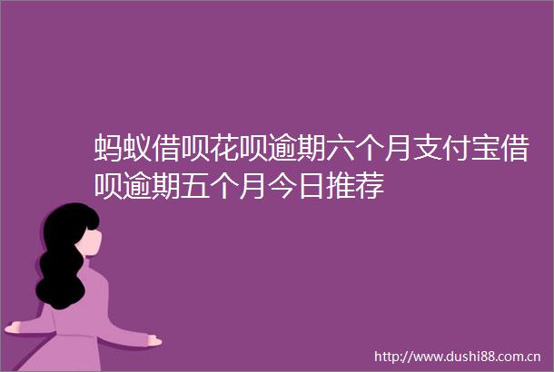 蚂蚁借呗花呗逾期六个月支付宝借呗逾期五个月今日推荐