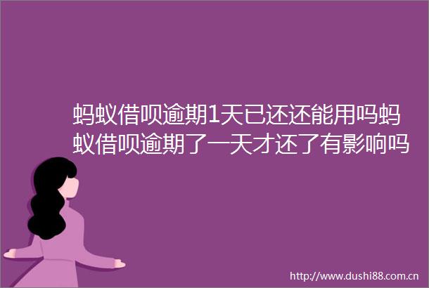 蚂蚁借呗逾期1天已还还能用吗蚂蚁借呗逾期了一天才还了有影响吗2022推荐