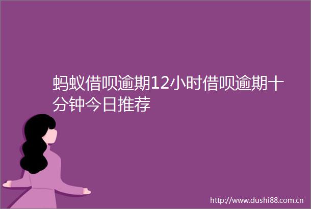 蚂蚁借呗逾期12小时借呗逾期十分钟今日推荐