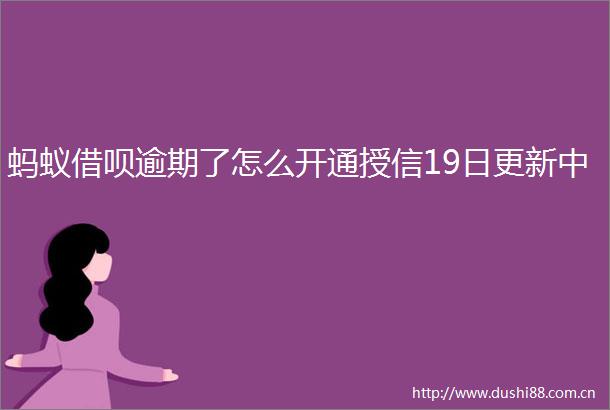 蚂蚁借呗逾期了怎么开通授信19日更新中