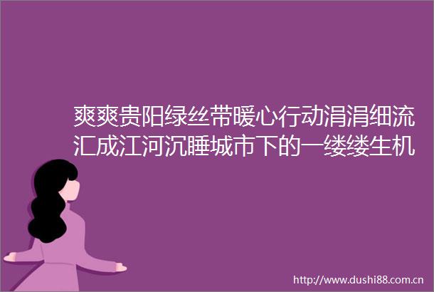 爽爽贵阳绿丝带暖心行动涓涓细流汇成江河沉睡城市下的一缕缕生机