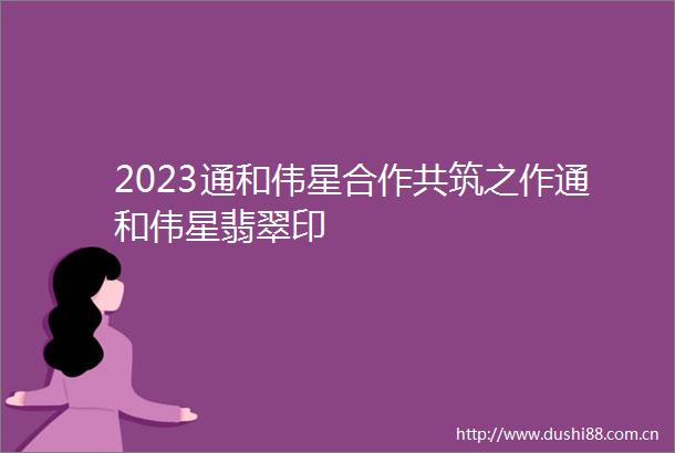 2023通和伟星合作共筑之作通和伟星翡翠印