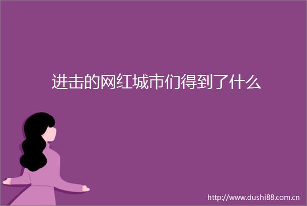 进击的网红城市们得到了什么