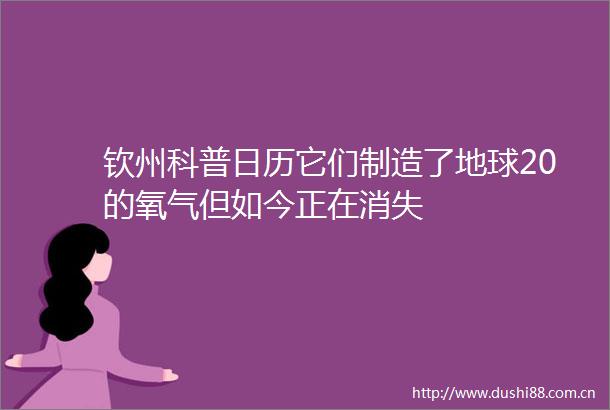 钦州科普日历它们制造了地球20的氧气但如今正在消失