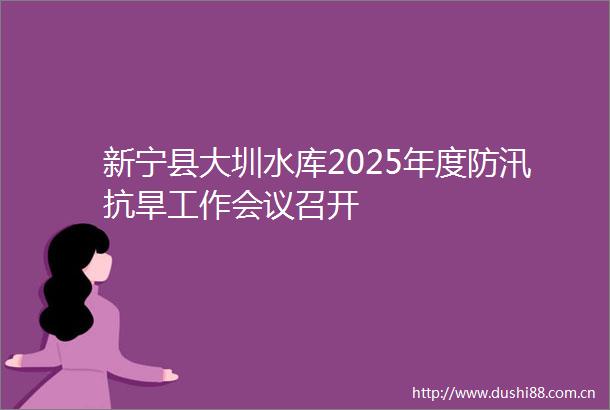 新宁县大圳水库2025年度防汛抗旱工作会议召开
