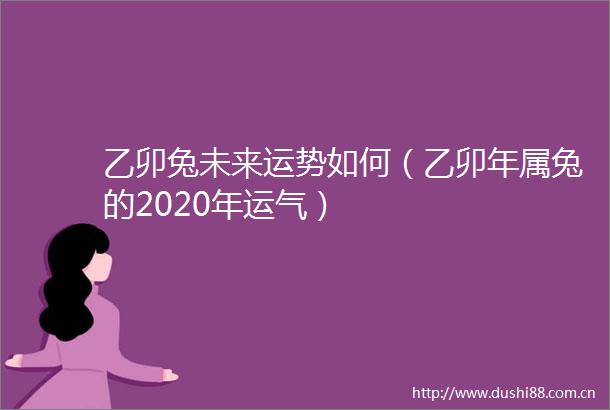 乙卯兔未来运势如何（乙卯年属兔的2020年运气）