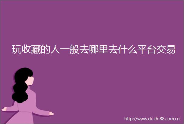 玩收藏的人一般去哪里去什么平台交易