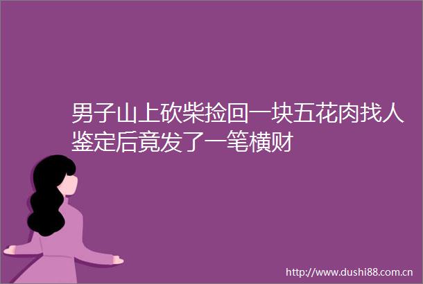男子山上砍柴捡回一块五花肉找人鉴定后竟发了一笔横财