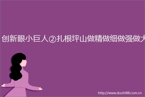 创新眼小巨人②扎根坪山做精做细做强做大