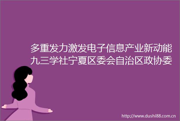 多重发力激发电子信息产业新动能九三学社宁夏区委会自治区政协委员聚焦电子信息产业发展建言获答复