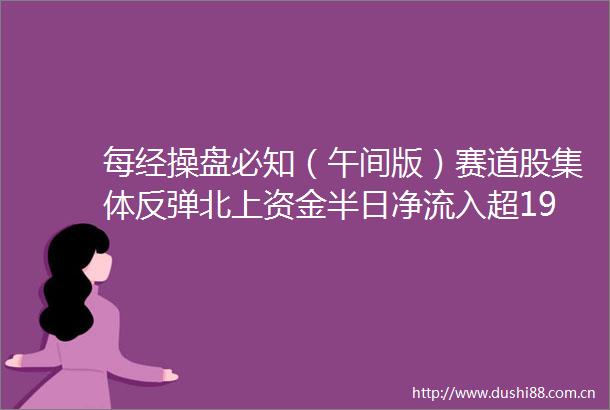 每经操盘必知（午间版）赛道股集体反弹北上资金半日净流入超19亿元卫健委2035年左右60岁及以上老年人口将突破4亿