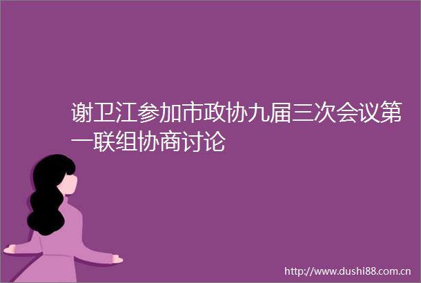 谢卫江参加市政协九届三次会议第一联组协商讨论