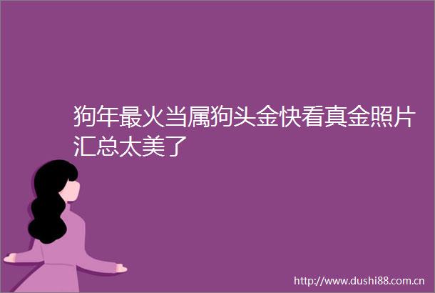 狗年最火当属狗头金快看真金照片汇总太美了