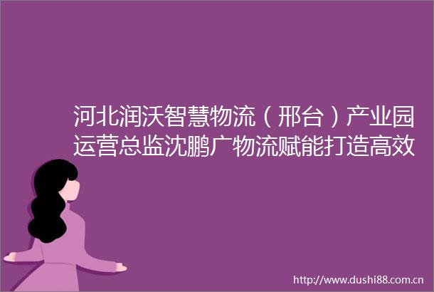 河北润沃智慧物流（邢台）产业园运营总监沈鹏广物流赋能打造高效产业发展生态