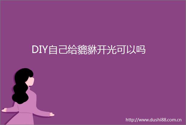 DIY自己给貔貅开光可以吗