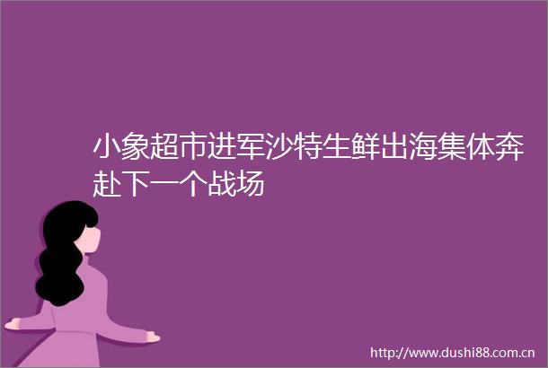 小象超市进军沙特生鲜出海集体奔赴下一个战场