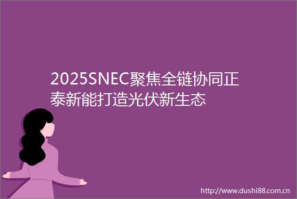2025SNEC聚焦全链协同正泰新能打造光伏新生态