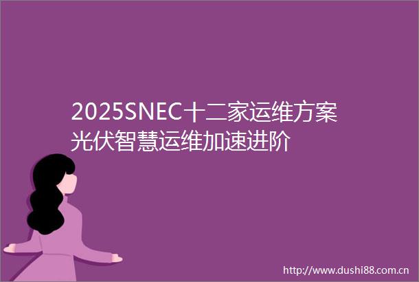 2025SNEC十二家运维方案光伏智慧运维加速进阶