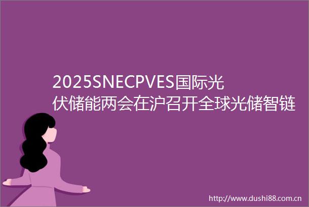 2025SNECPVES国际光伏储能两会在沪召开全球光储智链共绘零碳新图景