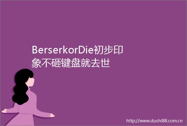 BerserkorDie初步印象不砸键盘就去世