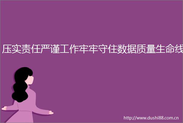 压实责任严谨工作牢牢守住数据质量生命线