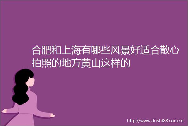 合肥和上海有哪些风景好适合散心拍照的地方黄山这样的