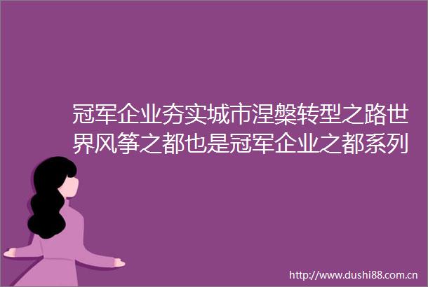 冠军企业夯实城市涅槃转型之路世界风筝之都也是冠军企业之都系列解读②